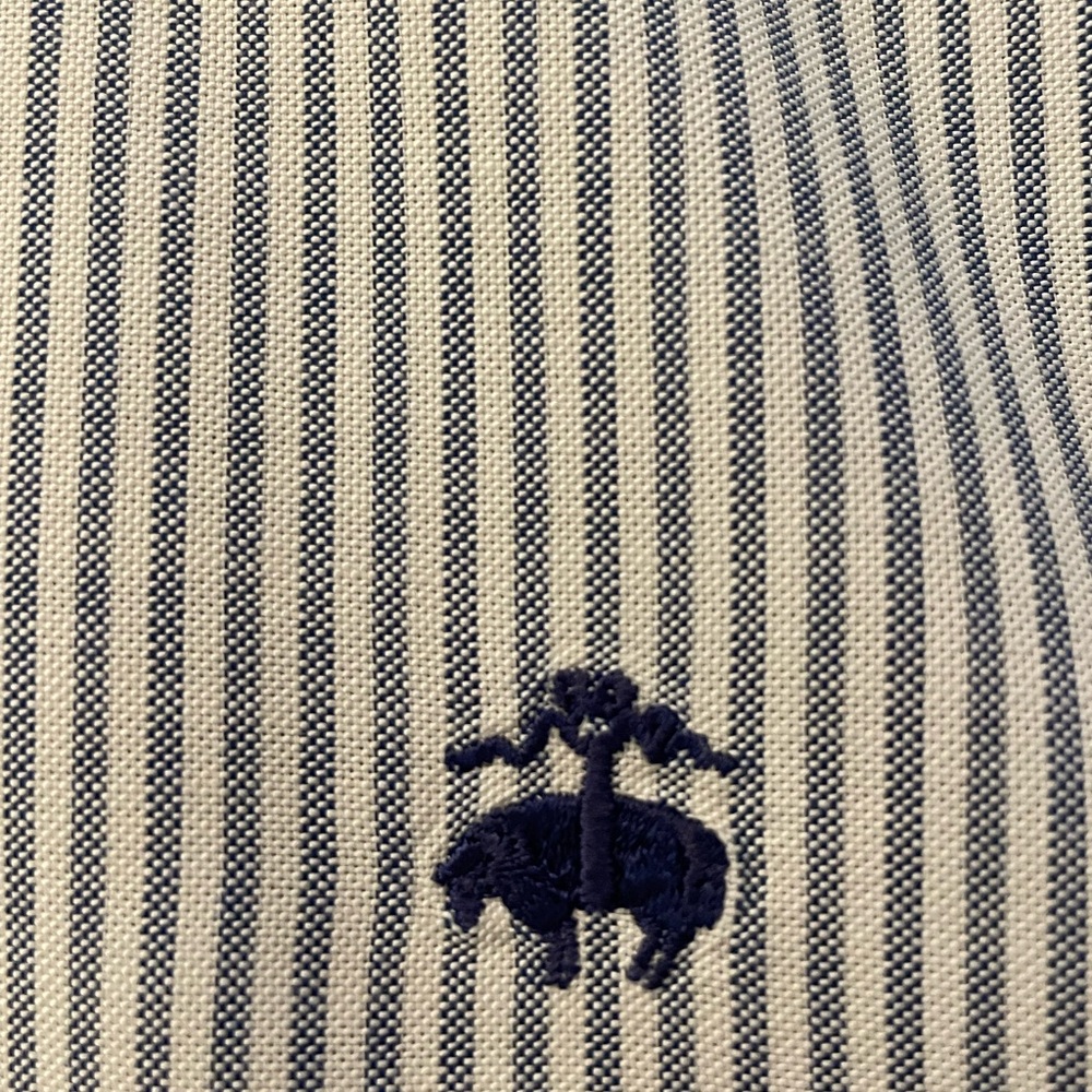 Navy pinstripe brooks brothers button down.
